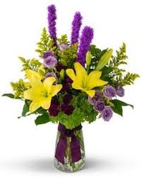 Miner street, west chester, pa. 14 Best Winter Flowers Images Winter Flowers Flower Delivery Flower Arrangements