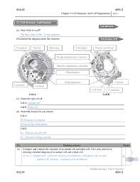 We did not find results for: Chapter 2 Cell Structure And Cell Organization