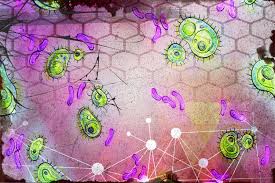 Image result for arte xeplion