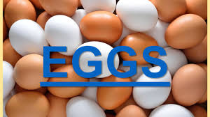 Dec 23, 2019 · not so fun facts. Eggs Everyday Eggs The Eggs We Most Commonly Get From The Grocery Store Are Produced By Hens Chickens People Eat Eggs From Other Birds Including Quail Ppt Download