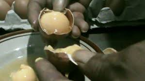Kabar soal telur ayam palsu sebenarnya sudah diulas media sejak awal 2000an dan diduga banyak diproduksi di cina. Warga Resah Telur Ayam Rekondisi Palsu Beredar Di Waingapu Waingapu Com