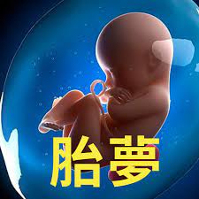胎夢與胎內記憶，嬰兒在投胎前都待在哪裡?? – 地球之外– Podcast – Podtail