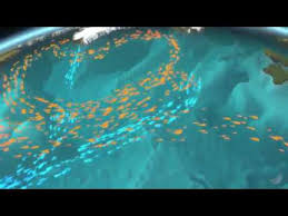 Major Global Ocean Currents Youtube These currents are on the ocean's surface and in its depths, flowing both locally and globally. major global ocean currents