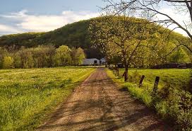Deco 21 Types D Entrees Meilleures Idees De Design In 2020 Driveway Brick Driveway Country Roads