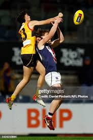 184 Brennan Ray Photos & High Res Pictures