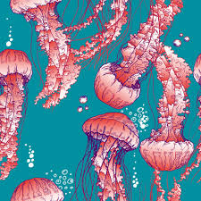 The physical markings will usually be accompanied by: How To Treat A Jellyfish Sting In Italy Doctors In Italy