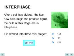 Describing pictures is the skill required at nearly all speaking level tests. The Nature Of Replicating Cells Ppt Video Online Download