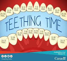 Excellent Teeting Chart When To Expect To See Those Teeth