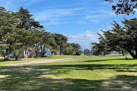 Pest control service in seaside, california. Fourth Tee Monterey Bay