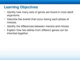 Present simple and present continuous past continuous worksheet 10 : Meiosis Read The Lesson Title Aloud To Students Ppt Download