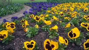 Chemnitz Stadtpark Stadtpark Landschaftsfotografie Chemnitz