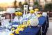 Rustic Blue And Yellow Wedding