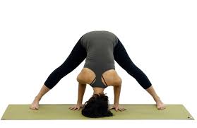 Place your hands next to your hips. 20 Ways To Stretch Your Hamstrings With Yoga