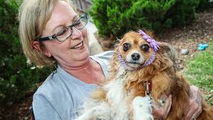 PHOTOS: Dogs exchange 'barks' during wedding ceremony at Mayday Brewey