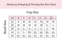 Hands Free Pumping Bra Momcozy Zipper Breast Pump Nursing Bra Suitable For Breastfeeding Pumps By Medela Lansinoh Philips Avent Spectra Medium