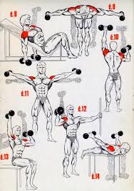 نتيجة بحث الصور عن ‪exercice gym‬‏