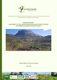 Image result for Pavetta gurueensis