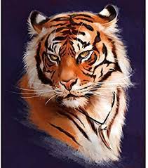 Amazon Com Diy 5d Diamond Painting Kit Full Diamond Embroidery Rhinestone Cross Stitch Arts Craft For Home Decor Tiger 1 Tiger Art Tiger Artwork Big Cats Art