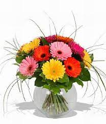Sri Lanka Birthdays And Birthday Gift Flowers Sri Lanka Birth Day Celebrations In Sri Lank Flowers Flower Gift Gerbera Bouquet