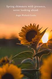 Spring Mindfulness Quotes Flower Quotes In 2020 Pretty Flowers Flowers Spain