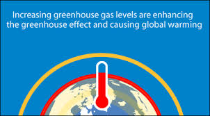 Image result for global warming photos