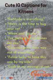 Here are some of the best funny and inspirational quotes which are worth laughing for. Funny Animal Pictures With Captions For Your Instagram Copy Paste Cute Instagram Quotes For Dogs Cats Make Your Followers Laugh Version Weekly
