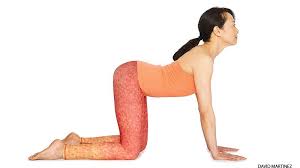 Classic Asana New Twist 15 Traditional Yoga Poses And Variations Yoga Poses Poses Cat Cow Pose