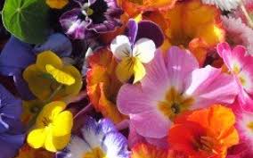 We did not find results for: Maddocks Farm Organics Buy Edible Flowers Online