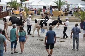 Photo Quels changements pour le festival de l'levage de Brive qui se ...