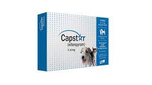 Buy Now Novartis Capstar Flea Tablets For Dogs And Cats Pet Products Services By Luckypetdeals Fleatablets Flea Treatment Flea Control Dog Flea Treatment