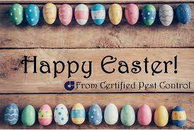Aardvark pest control's services target the little bugs, insects and rodents that invade your home or business and won't leave. 25 Best Pest Control Service Near Cleveland Ohio Facebook Last Updated Apr 2021