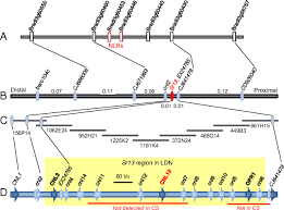Best dining in athens, attica: Identification And Characterization Of Sr13 A Tetraploid Wheat Gene That Confers Resistance To The Ug99 Stem Rust Race Group Pnas