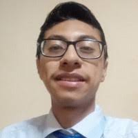 20+ perfiles de «Luis Felipe Ramos Ramos»