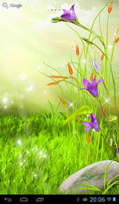 Check spelling or type a new query. Download Free Android Wallpaper The Sparkling Flowers 3489 Mobilesmspk Net