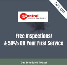 From fire ants and mosquitoes to rodents, you can always count on the licensed pest control specialists at king's pest control to clear your residential or commercial property of unwanted pests. Central Termite Pest Control Home Facebook