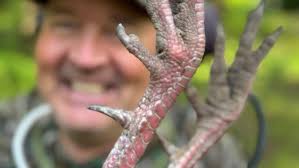 Beaver Creek Plantation Hunt! #thektteam