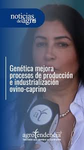 La productora y directora del Centro Genético Murcia (@cgcmurcia), Marlene  Arenas indicó que los avances genéticos en el sector Ovino-caprino están  contribuyendo al mejoramiento de la producción e ...