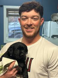 Marshy Hope Labradors, Reg.