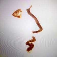 Stream Fabio Hunter music