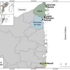 The latest tweets from isabel marques da silva (@isabelmsilva). Isabel Marques Da Silva Directora Do Cica Universidade Lurio Nampula Natural Science Faculty