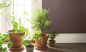 Most popular benjamin moore relaxing bedroom colors. Color Trends Color Of The Year 2021 Aegean Teal 2136 40 Benjamin Moore