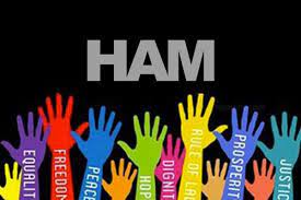 Ffn merupakan penganjur festival filem dokumentari hak asasi manusia tahunan, freedomfilmfest yang telah mengadakan tayangan perdana animasi berjudul 'chilli powder & thinner' pada 12 jun lalu. Hari Ham Sedunia Ini Catatan Kontras