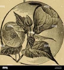 Sowing The Seeds Of Success High Resolution Stock Photography And Images Alamy