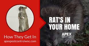 Dodson pest control has over 70 years of experience in commercial and residential pest control. Pest Control Asheville