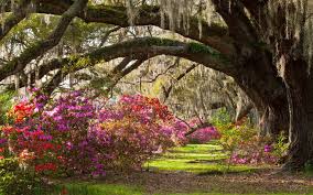 Check spelling or type a new query. Summer Garden Wallpapers Top Free Summer Garden Backgrounds Wallpaperaccess