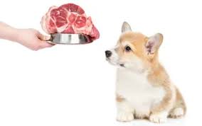 Can Dogs Eat Pork Is Pork Bad For Dogs Doghelpful