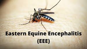 Share sensitive information only on official, secure websites. Welcome To Jefferson County New York Vector Control
