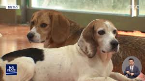 이준석 어록이 올라올 때마다 느낀점 ㅋㅋㅋㅋ. ì •ì°¸ì‹œ ë°•ê·¼í˜œ ê°ì‚¬ ë‚´ì„¸ìš´ ì´ì¤€ì„ ì¹œë°• ë…¸íšŒí•œ ìž¥ì‚¬ê¾¼