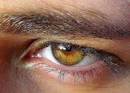 Ela Kehribar Bal Ve Daha Fazlasi Goz Rengini Tam Olarak Soylemek Isteyenler Icin 21 Detayli Goz Rengi Aesthetic Eyes Amber Eyes Dark Green Eyes