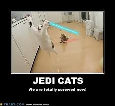 Look At These 35 Star Wars Memes You Will Star Wars Memes Star Wars Humor New Star Wars